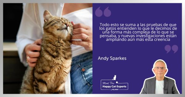 Gato sentado junto a una mujer en un banco mientras ella lo acaricia.