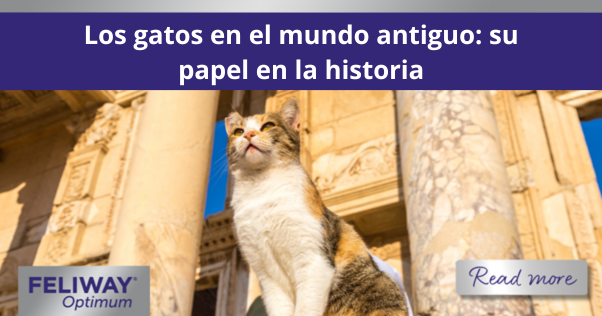 Los gatos en el mundo antiguo: su papel en la historia