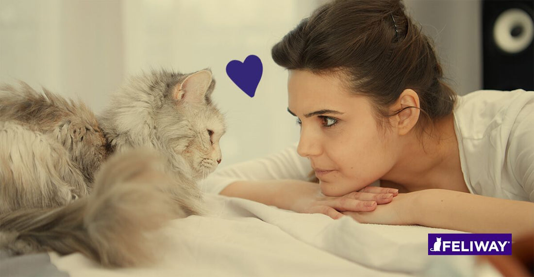 ¿Tiene mi gato ansiedad por separación?