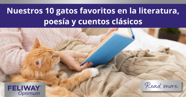 Gato naranja tumbado sobre una manta junto a una persona leyendo un libro.