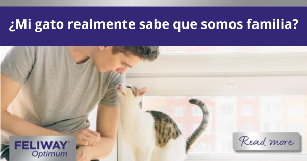 ¿Mi gato realmente sabe que somos familia?