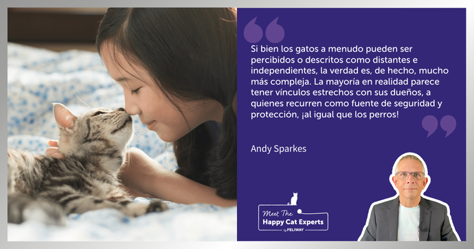 ¿Los gatos son distantes e independientes... o simplemente incomprendidos?