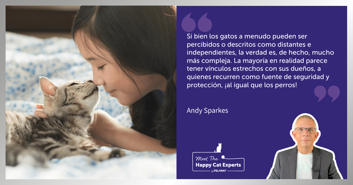 ¿Los gatos son distantes e independientes... o simplemente incomprendidos? | Happy Cat Expert