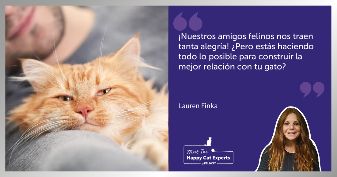 Cómo mejorar relación con tu gato