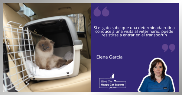Gato gris sentado dentro de un transportín para gatos en un coche.