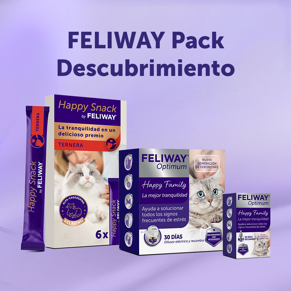 Discovery Pack - Ternera