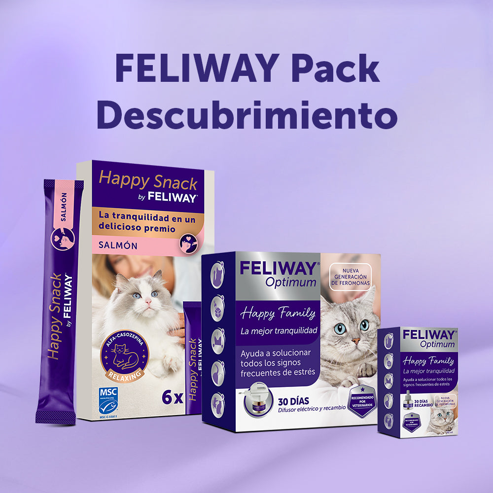 Discovery Pack - Salmón