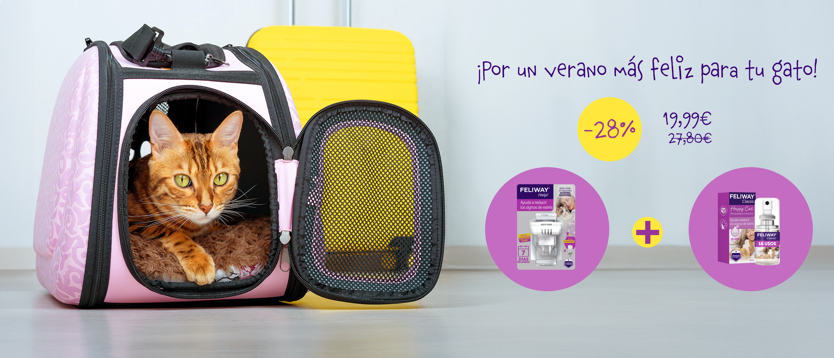 Gato dentro de un transportin oferta viajes Feliway