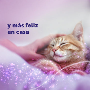 FELIWAY Classic Difusor