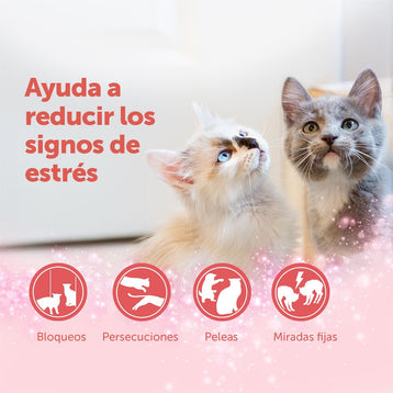 FELIWAY Friends Difusor