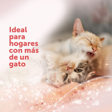 pack-3-recambios-3x48-ml
