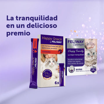 ternera