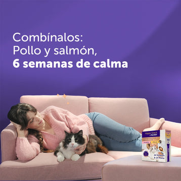 pollo+48-sticks