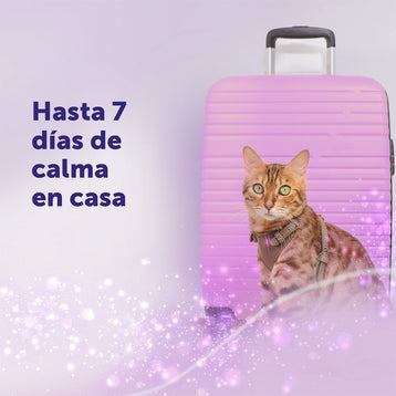 FELIWAY Help! Pack 3 recambios