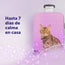 FELIWAY Help! Pack 3 recambios