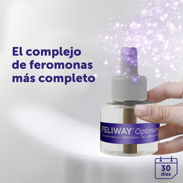 recambio-48-ml