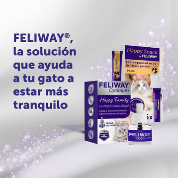 recambio-48-ml