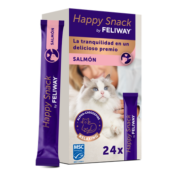 Salmón+24-sticks