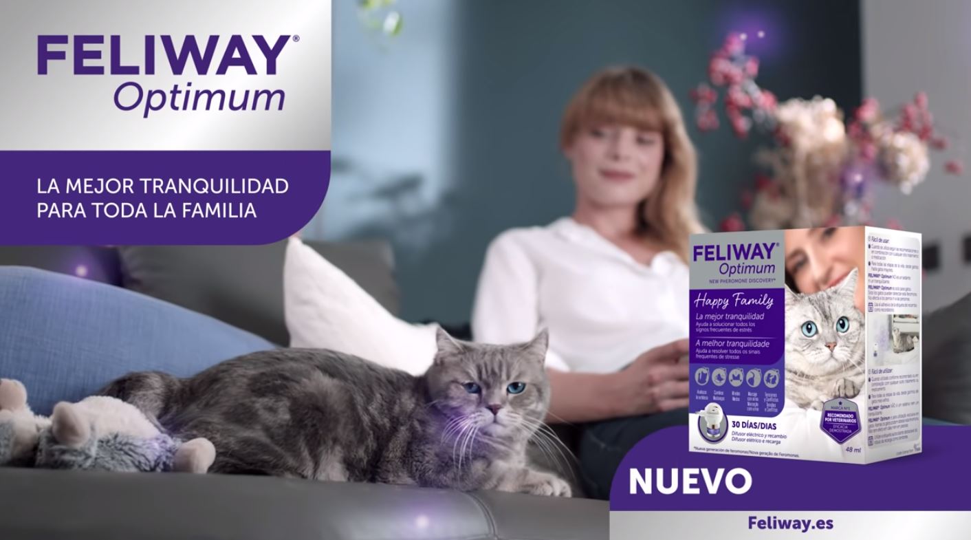 Cargar video: Usos Feliway Optimum difusor