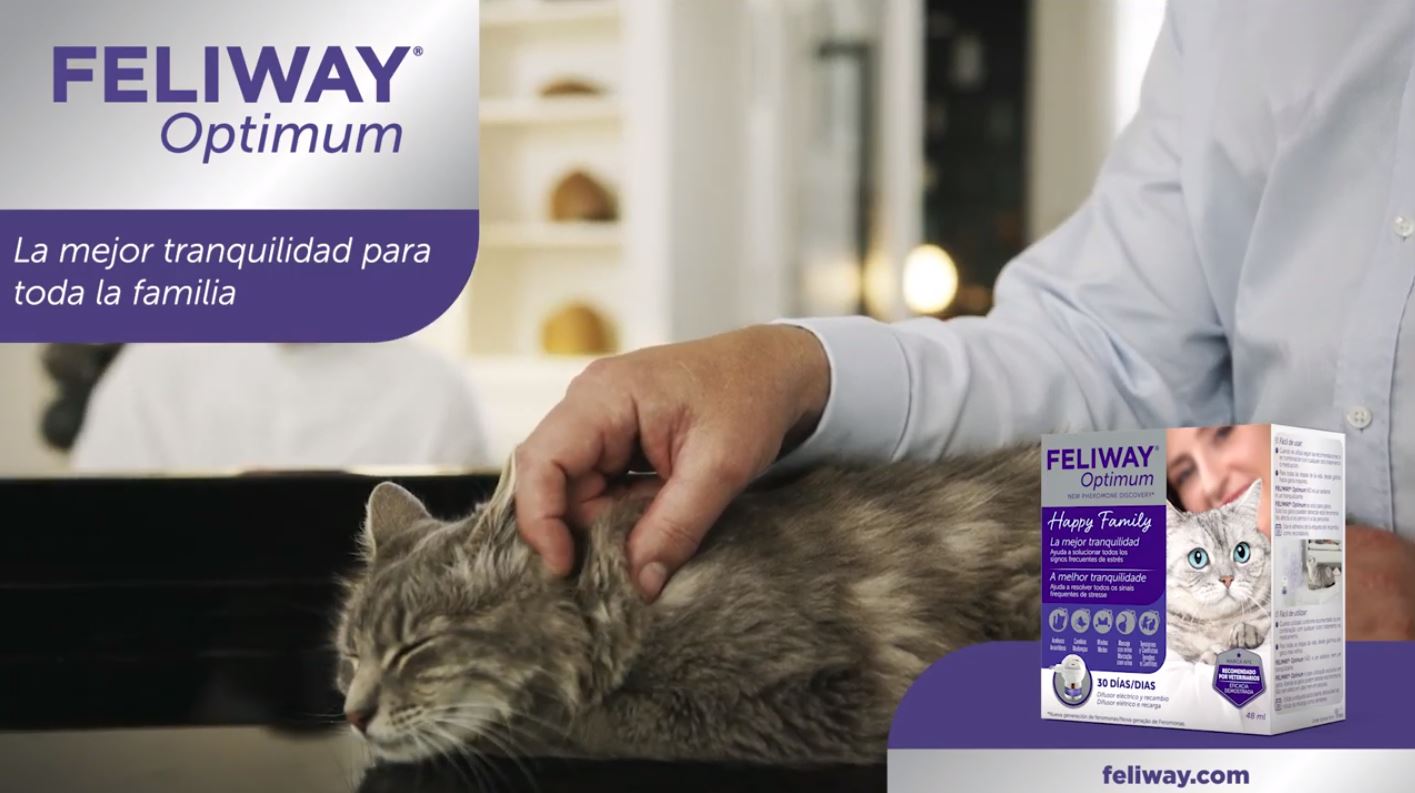 Cargar video: 