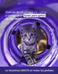 Regalo - Túnel FELIWAY