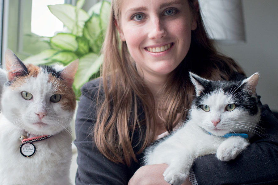 FELIWAY® Friends Gama | Difusores Para Calmar a Gatos