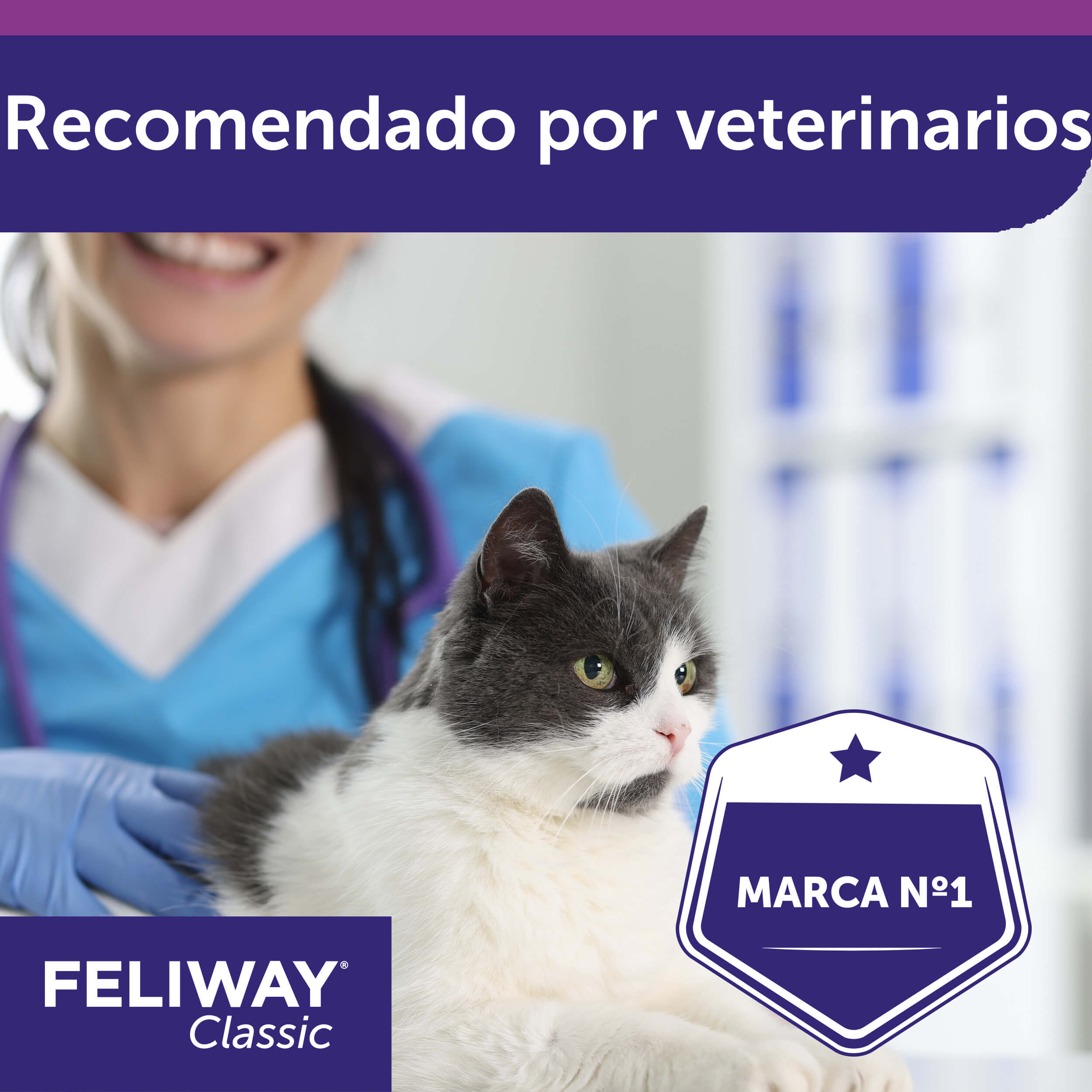 recambio-30-días-1x48-ml pack-ahorro-3-recambios-3x48-ml