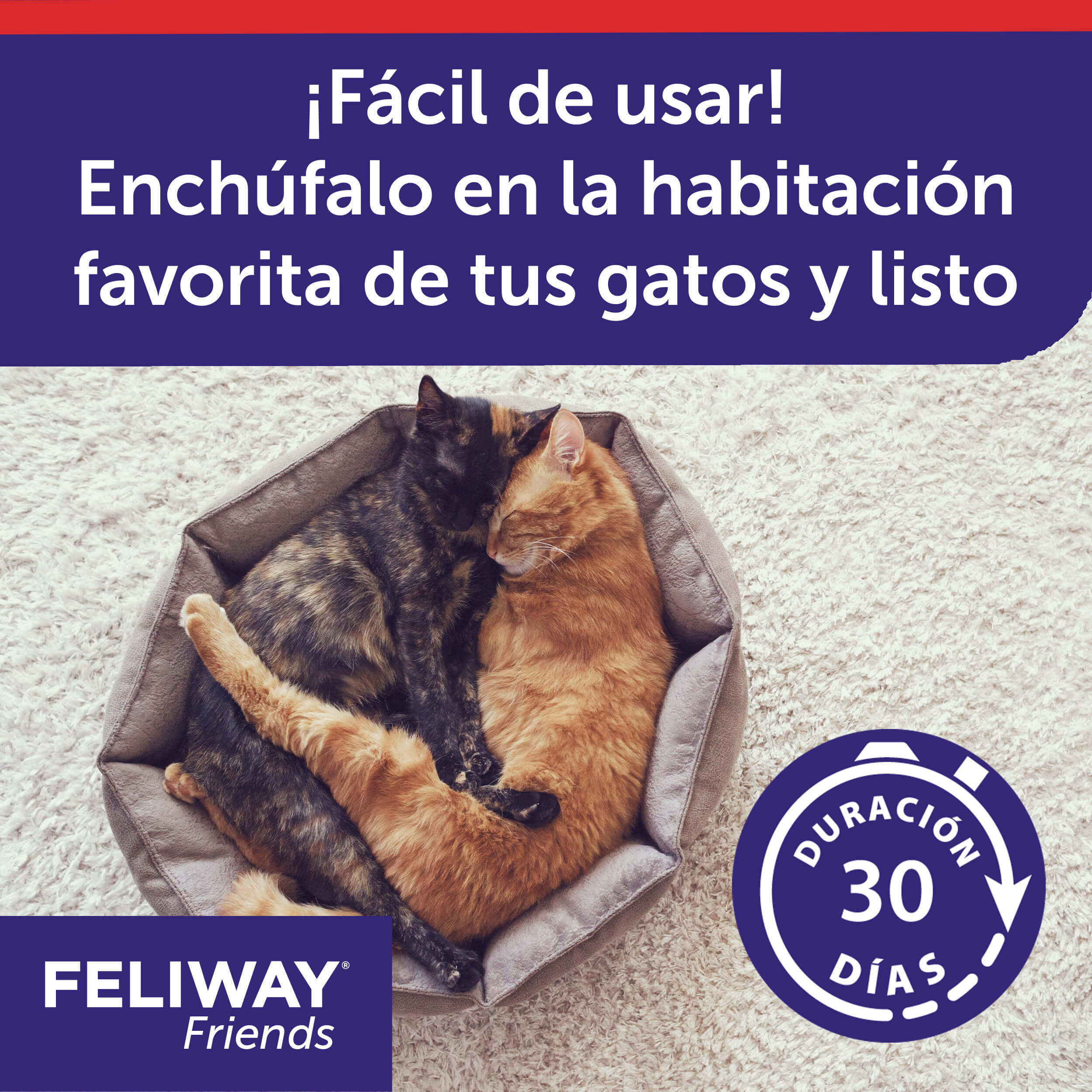 FELIWAY Friends Difusor