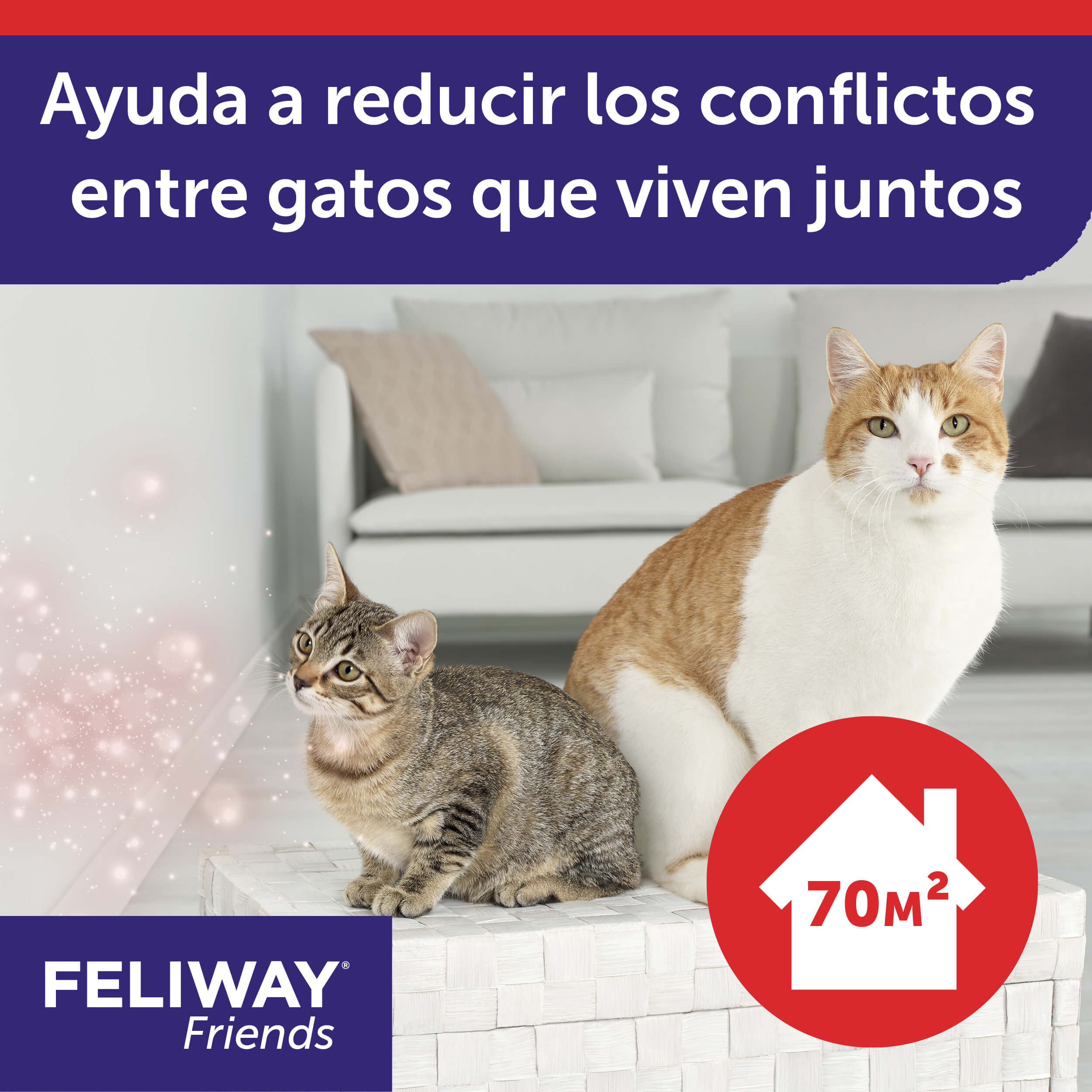recambio-48-ml pack-3-recambios-3x48-ml