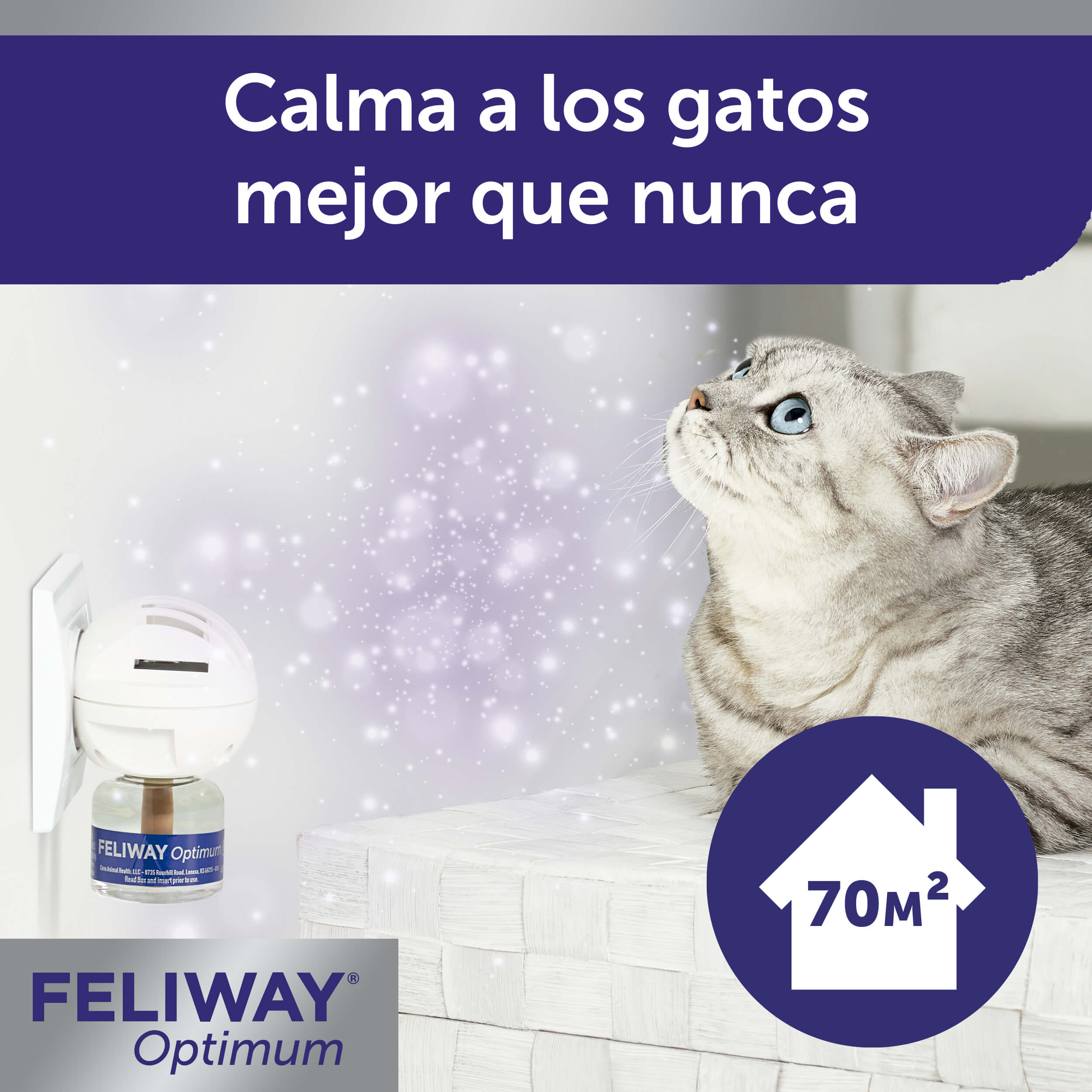 Feliway Optimum, nuevo tratamiento de feromonas - Blog de Zootecnia