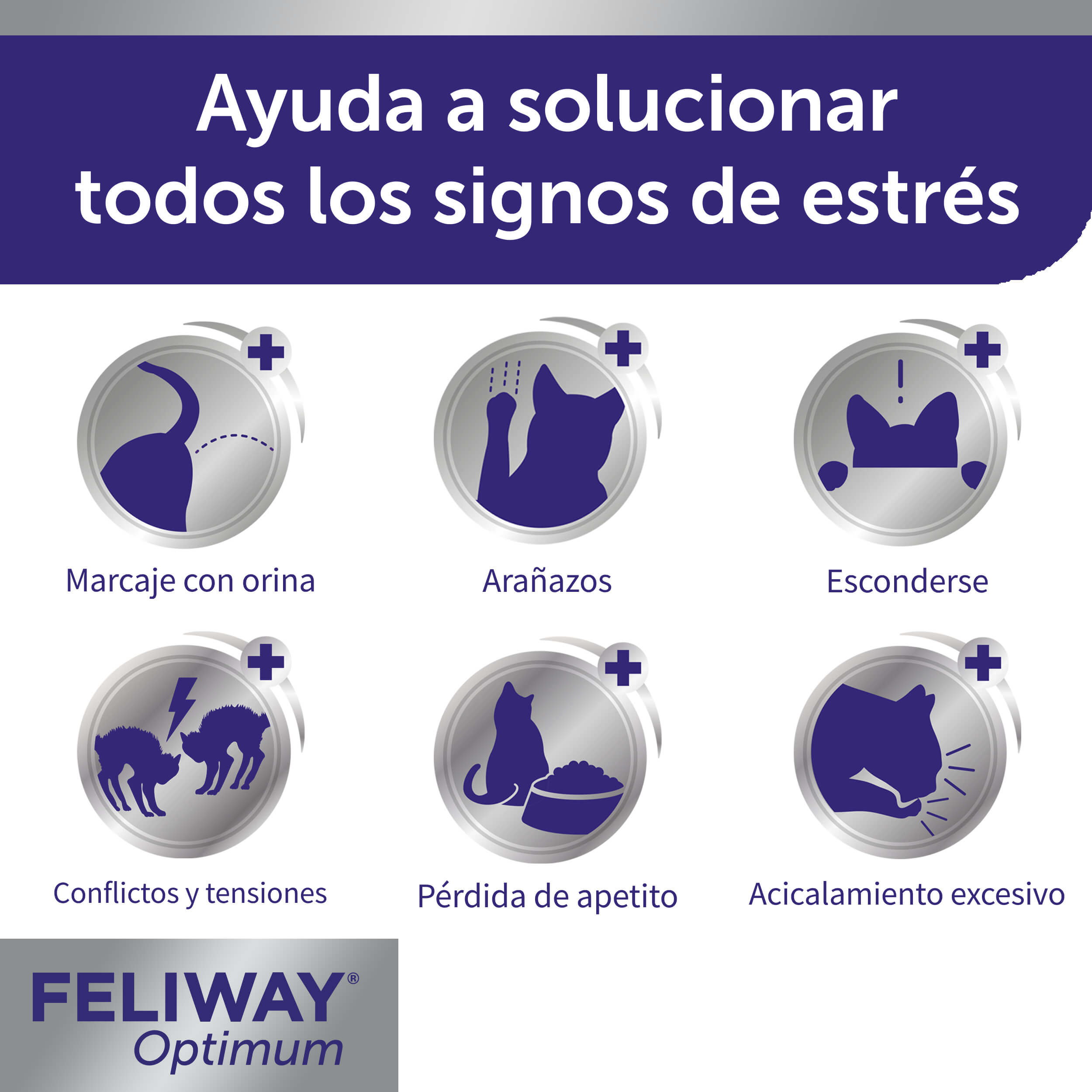 FELIWAY Optimum Cat - Difusor de feromonas calmante mejorado, kit de inicio  de 30 días (1.6 fl oz), translúcido