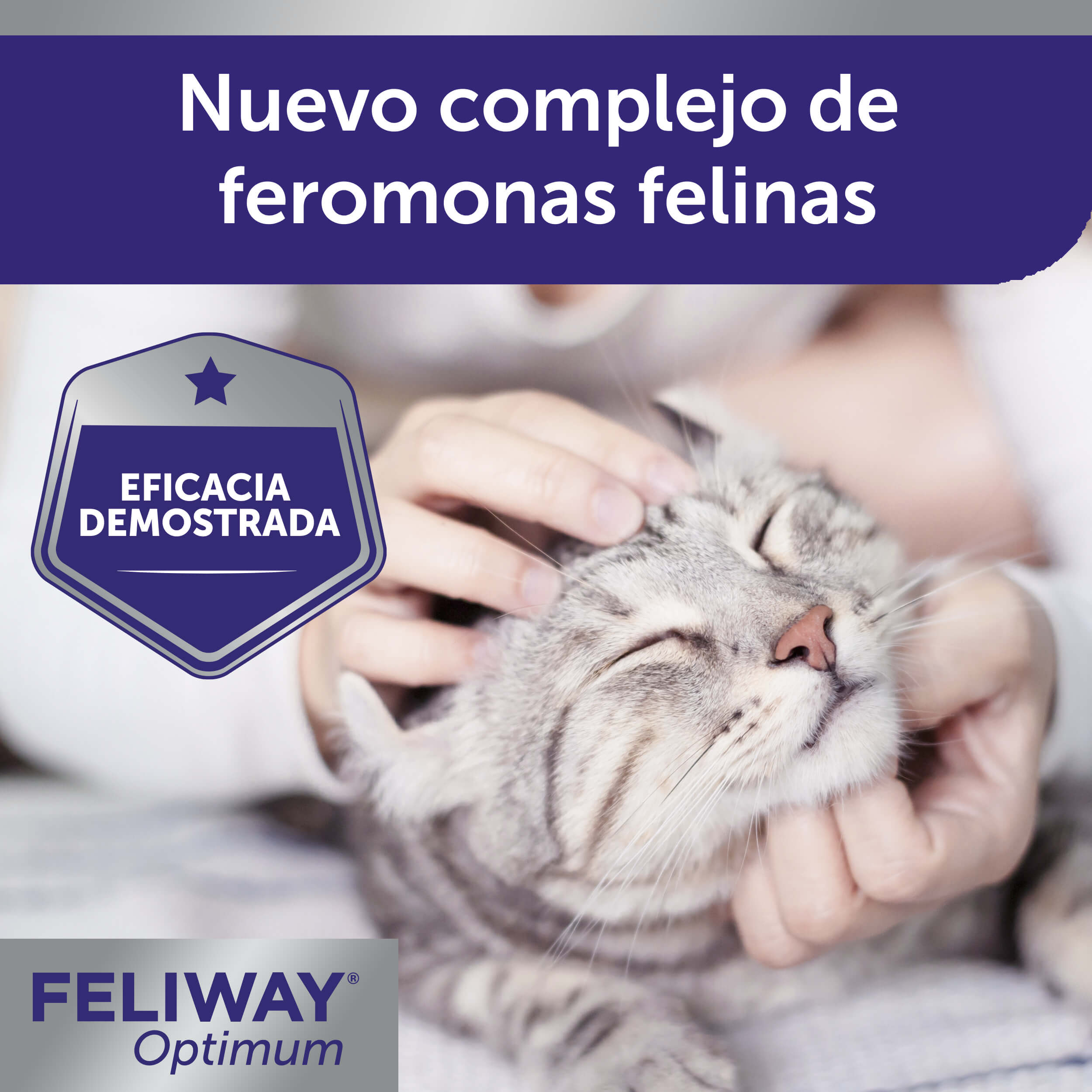 FELIWAY® Optimum Difusor | Feromonas Para Calmar Gatos